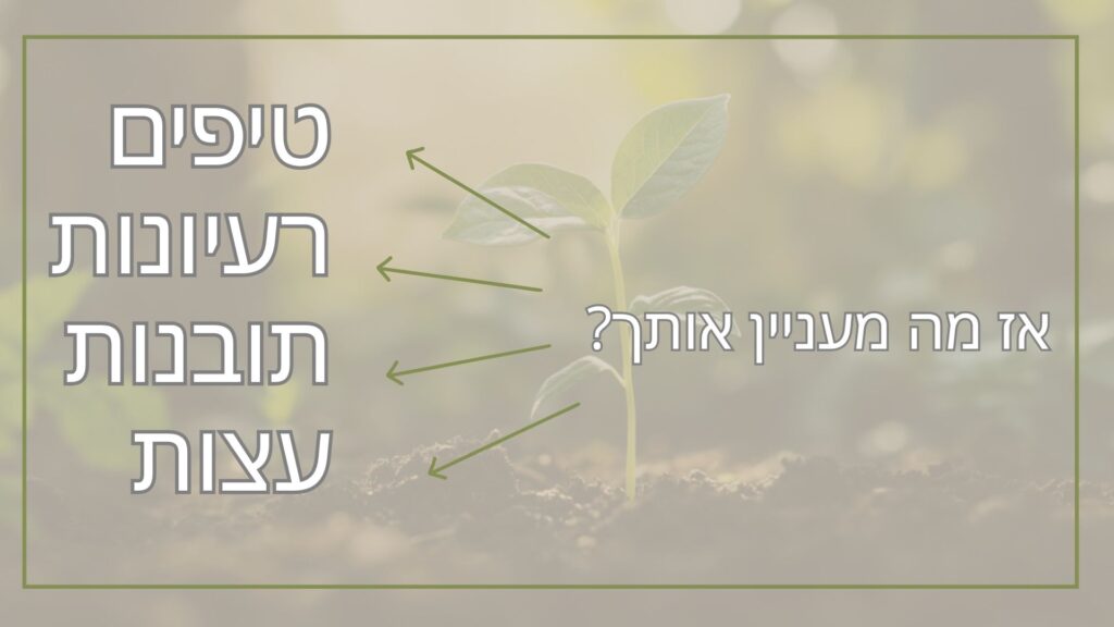 אז מה מעניין אותך - לירון פורת