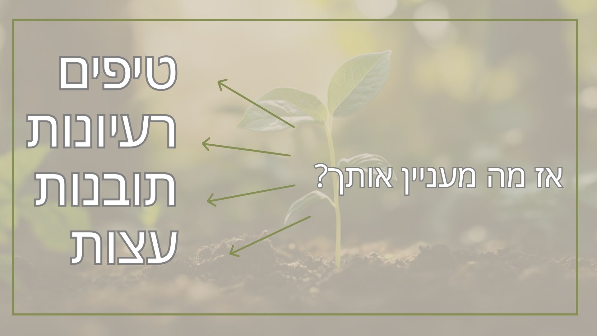 אז מה מעניין אותך - לירון פורת
