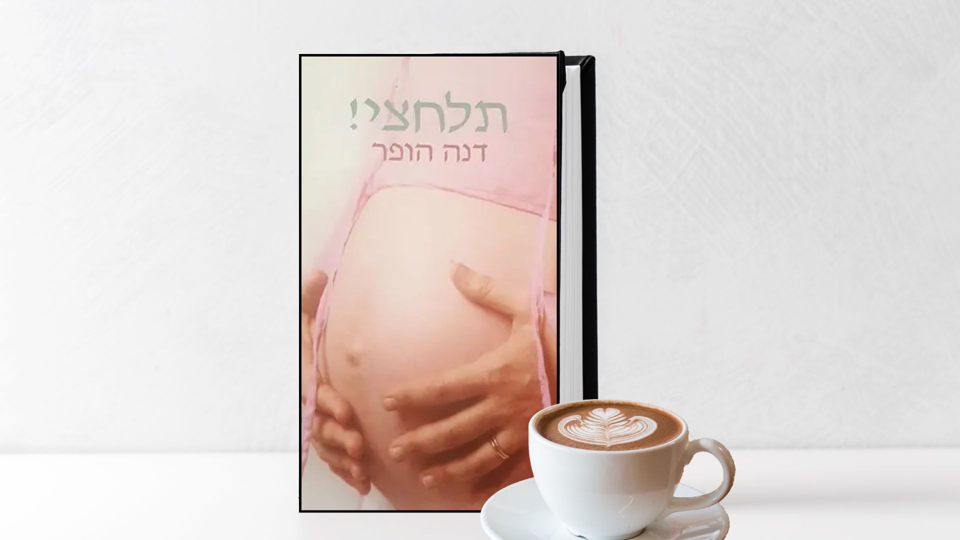 המלצה על ספר לידה - לירון פורת